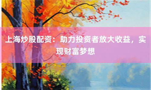 上海炒股配资：助力投资者放大收益，实现财富梦想